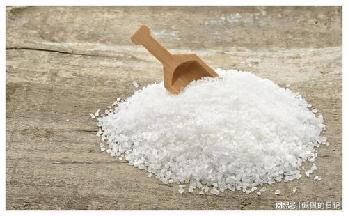 中國人餐桌上的鹽 傳統與現代的交融