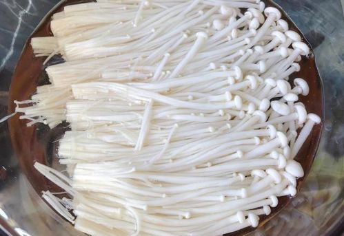 番茄配腌制鹽 營(yíng)養(yǎng)翻倍的健康佳肴